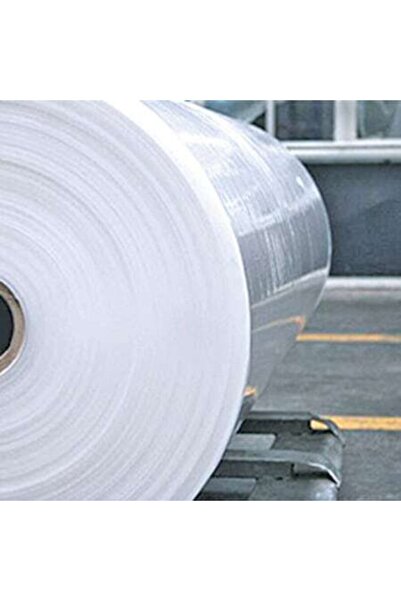 NetBazaars 2x4 Seffaf Naylon Branda Kar Su Gecirmez Örtü Xömbx3