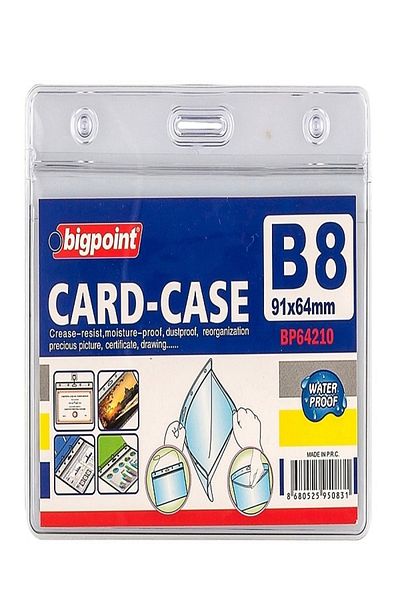 Bigpoint Horizontal Ziplock Card Bag - B8 91X64 Mm, Set of 10