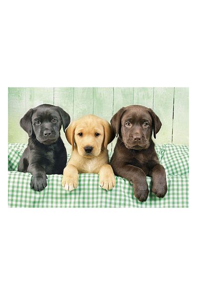 CLEMENTONI Labradors 1000 Piece Puzzle /