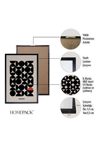 HOMEPACK Siyah Lamine Çerçeveli 3'lü Tablo Seti Hpn107