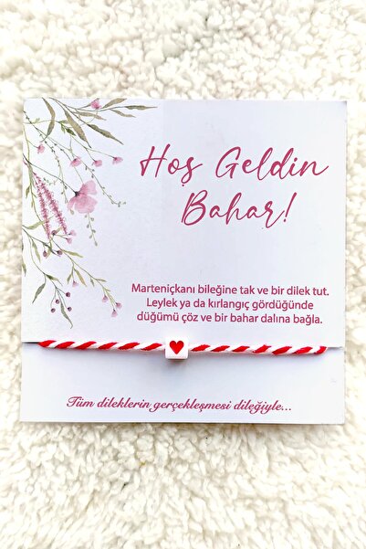 Miomundo Marteniçka Bileklik, Şans Bilekliği 40 Adet Toptan Kartlı Dilek Bile...