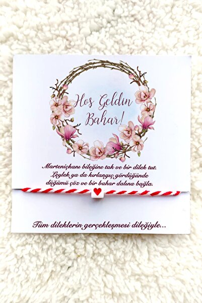 Miomundo Marteniçka Bileklik, Şans Bilekliği 40 Adet Toptan Kartlı Dilek Bile...