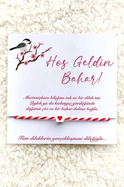 Miomundo Marteniçka Bileklik, Şans Bilekliği 40 Adet Toptan Kartlı Dilek Bile...