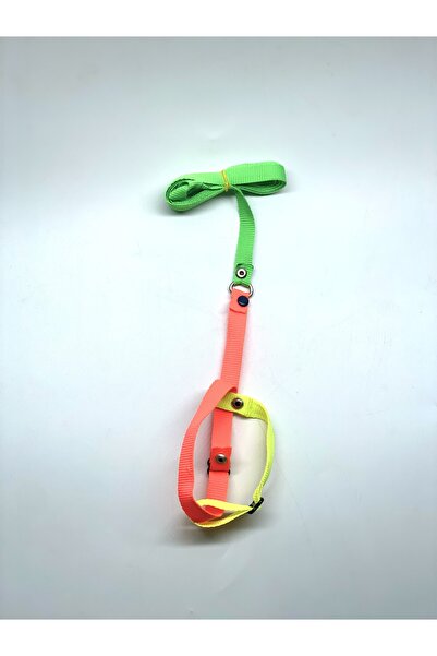 Atahan Pet Kuş Tasması