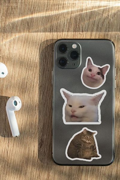 Namgo مجموعة ملصقات للكمبيوتر المحمول والكمبيوتر المحمول مكونة من 10 قطع من Şapşal Cats