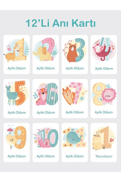 Pixel Baby Memory Card Baby Monthly Photo Shoot Card Baby Photo Card 12 Pieces