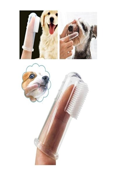 zeysahome فرشاة تنظيف أسنان القطط والكلاب