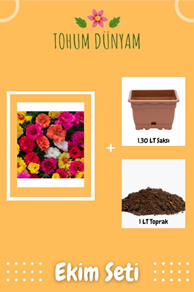 Tohum Dünyam Katmerli Ipek Çiçeği Kedi Tırnağı Tohumu Ekim Seti