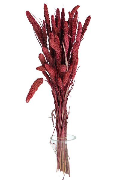 Yapay Çiçek Deposu Şoklanmış Setteria Boncuk Demeti 100 Gr Bordo