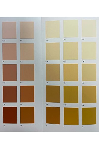 Filli Boya Agusto Silan Silikonlu Dış Cephe Boyası