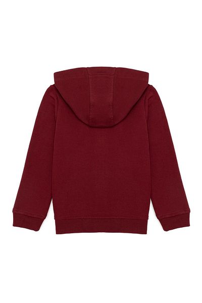 U.S. Polo Assn. Plain Boy Sweatshirt