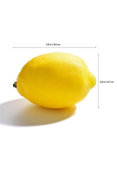 RUZGARCİCEK Rüzgar Çiçekcilik Limon