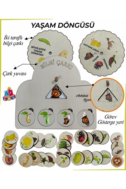 Knowledge Wheel Light Set 2 Life Cycle