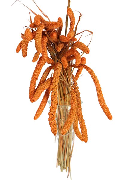 Yapay Çiçek Deposu Şoklanmış Setteria Boncuk Demeti 100 gr Turuncu Turuncu