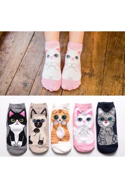 çorapmanya 5 Pairs Cute Multicolor Cat Cartoon Patterned Women's Booties Socks