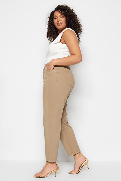 Trendyol Curve Mink High Waist Mom Fit Jeans TBBSS23AR00008