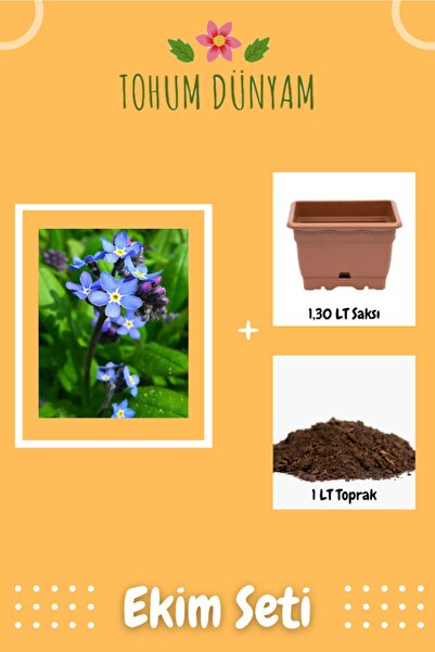Tohum Dünyam Mavi Unutma Beni Çiçeği Tohumu Ekim Seti