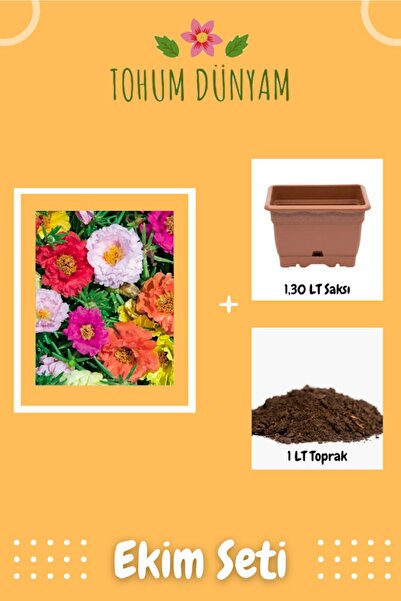 Tohum Dünyam Katmerli Kedi Tırnağı Tohumu Ekim Seti