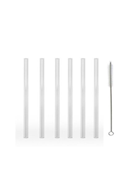 Cen Cam 6'lı Cam Pipet Ve Fırçası (9mm Çaplı)