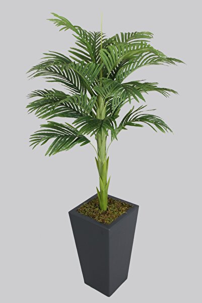 Yapay Çiçek Deposu Ahşap Saksıda Tek Gövdeli Yapay Areka Palmiye Ağacı 180 Cm...