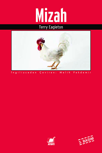 Ayrıntı Yayınları Mizah, Terry Eagleton, Yayınları, Mizah Kitabı, 160 Sayfa