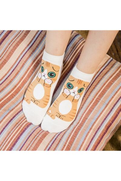 çorapmanya 5 Pairs of Cute Cat Patterned Multicolored Women's Booties Socks