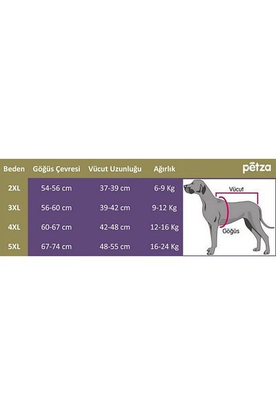 Petza Medium and Large Breed Double Sided Dog Coat - Moke Red & Blue