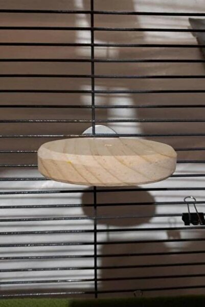 Alyones 3'lü Set Dairesel Ahşap Çıkıntılar Sıçanlar, Kuşlar, Sincaplar, Degu ...