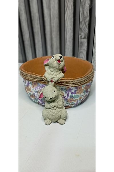 HUNATASARIM Decorative Multi-Purpose Double Rabbit Flower Pot & Basket & Fruit Basket