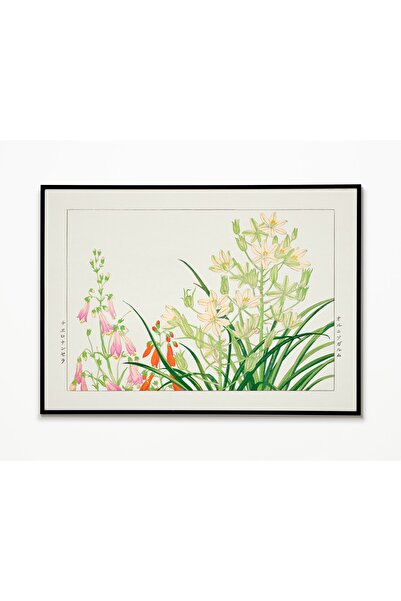 ARTHOUSECOLLECTIVE Botanik Poster - Ornithogalum Flower - Çiçek Posteri - Tab...