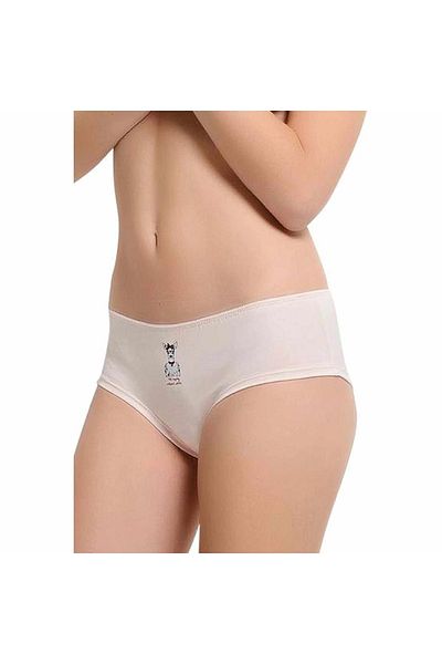 Belinay 0209 Colorful 6-Piece Panties