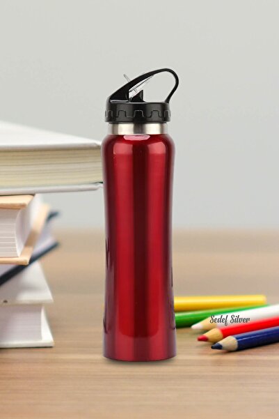SEDEF SİLVER 500 ml Double Layer Steel Flask with Spout Thermos with Straw