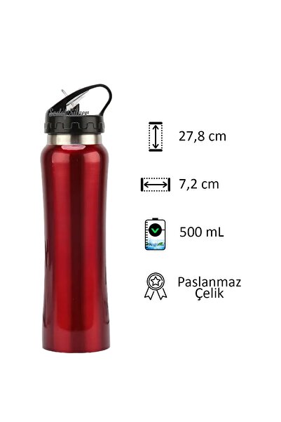 SEDEF SİLVER 500 ml Double Layer Steel Flask with Spout Thermos with Straw