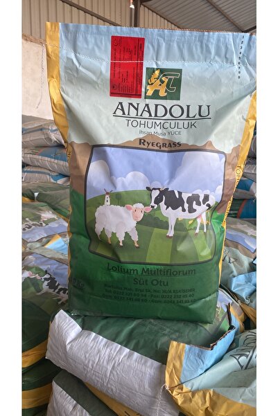 ANADOLU TOHUMCULUK Reygrass Tohumu (10 KG)