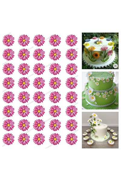 sevvom Yenilebilir Kağıt Pembe Papatya Resimli Pasta Kurabiye Üstü Şeker Kağı...