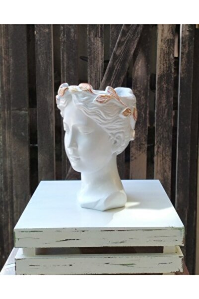 S.V.D 10 Cm Helen Saksı