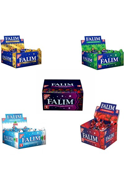 Falım Tekli 5 Çeşit Sakız 100 X 5'li
