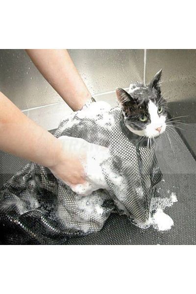 kedi aksesuarlari fiyatlari ve yorumlari trendyol