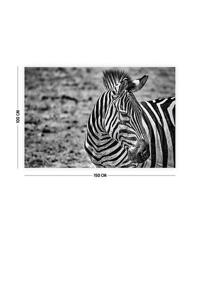 Vagonik Χαλί Τοίχου Zebra 150 Χ 100 Εκ