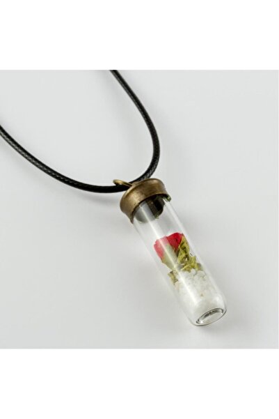 Genel Markalar Gül Fanus Canlı Kolye