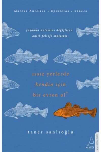 Destek Yayınları Issız Yerlerde Kendin Için Bir Evren Ol