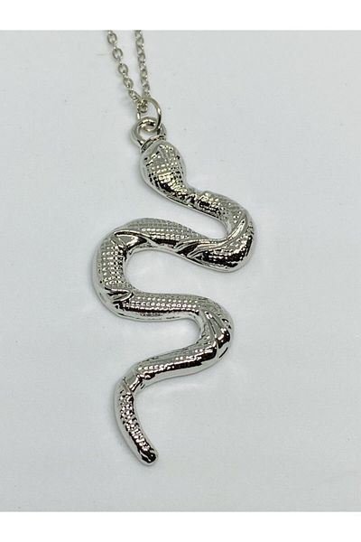 köstebek kadıköy Unisex Silver Snake Chain Necklace