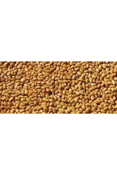 Genel Markalar Yonca Tohumu 1 kg
