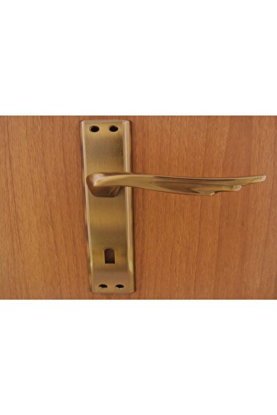 Azm Hırdavat Berlin Antik Aynalı Kapı Kolu Wc Sağ