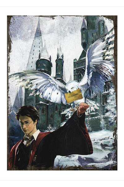 Cakatablo 50cmX70cm Ahşap Tablo Harry Potter