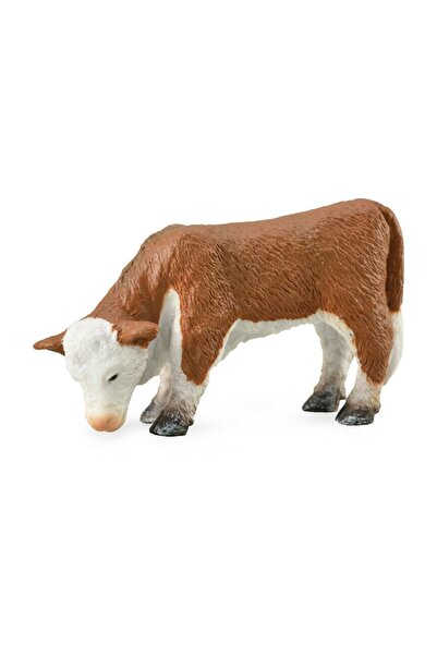 Collecta Otlayan Yavru Sığır