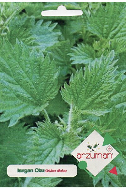 Arzuman Tohum Isırgan Otu Tohumu