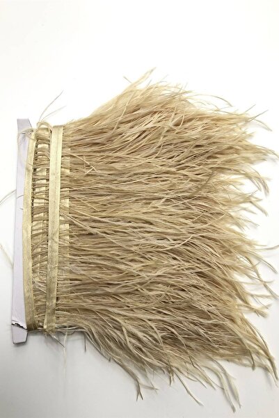 FdayAksesuar Accesoriu panglică decorativă din pene de struț de nurcă deschis...