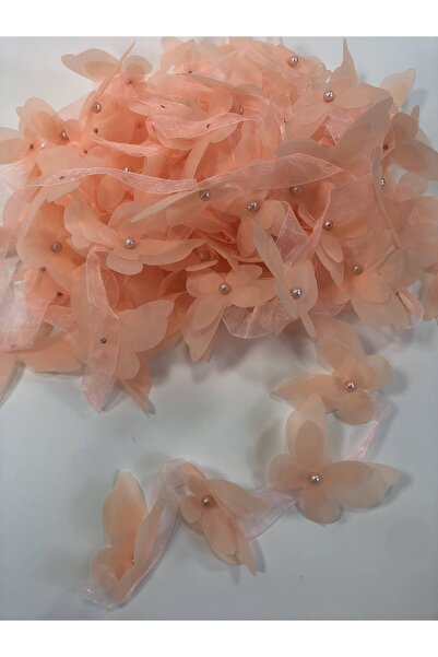 FdayAksesuar Διακοσμητική Κορδέλα Αξεσουάρ Χρώμα Σολομού Λέιζερ Ίμ Πεταλούδα ...