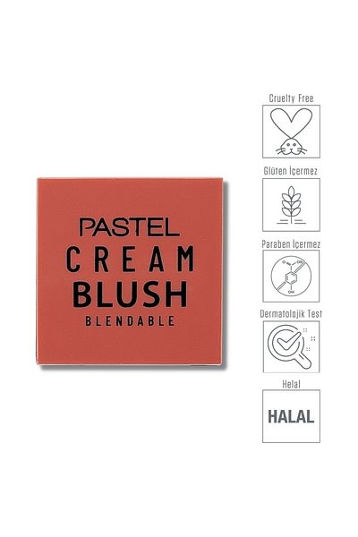 Pastel Profashion Cream Blush 42